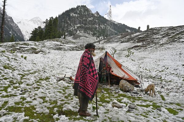 Кашмирские кочевники в палатке после снегопада в поселении Сонмарг, Индия. - Sputnik Узбекистан