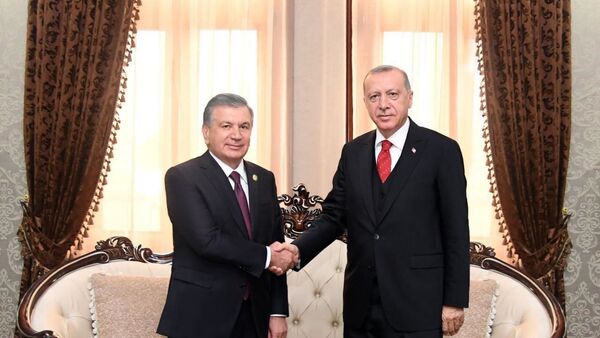 Мирзиёев провел переговоры с Эрдоганом - Sputnik Узбекистан