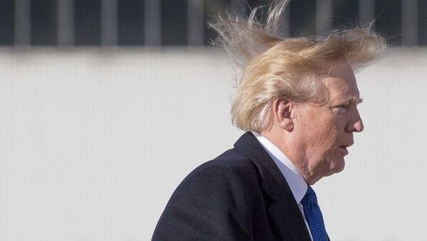 Prezident SShA Donald Tramp vo vremya posadki v samolet  - Sputnik O‘zbekiston