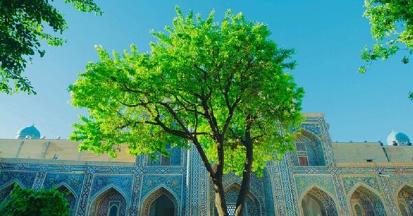 Узбекистан в 8K: известный видеоблогер покажет республику в новом формате - Sputnik Узбекистан