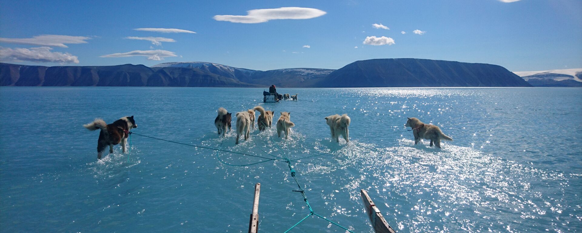 Ездовые собаки тянут сани по покрытому водой льду Гренландии - Sputnik Узбекистан, 1920, 30.06.2019