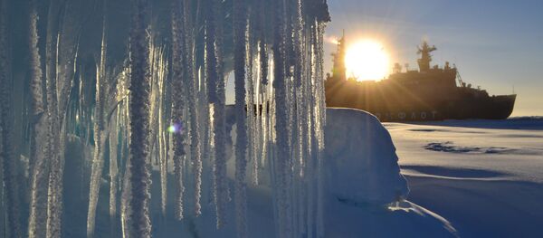 Полярники начали развертывать новую дрейфующую станцию СП-40 Полярники начали развертывать новую дрейфующую станцию СП-40 - Sputnik Узбекистан