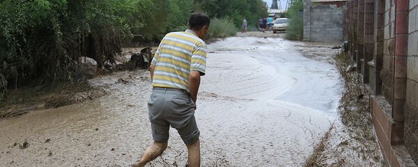 Сел Сел - Sputnik Ўзбекистон