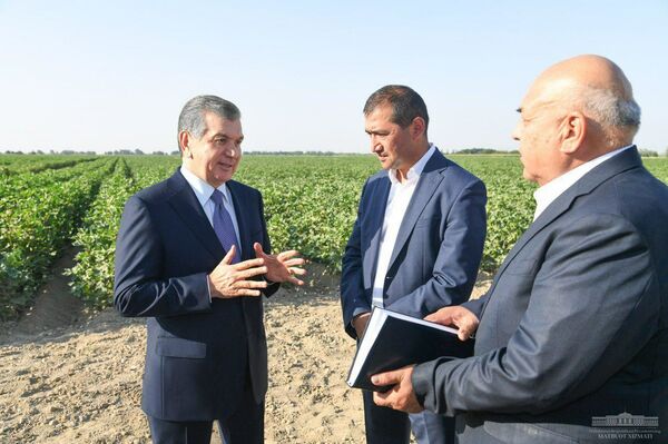 Мирзиёев проинспектировал фермерское хозяйство в Сырдарьинской области Мирзиёев проинспектировал фермерское хозяйство в Сырдарьинской области - Sputnik Узбекистан