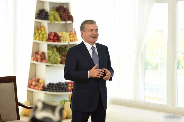 Мирзиёев проинспектировал фермерское хозяйство в Сырдарьинской области Мирзиёев проинспектировал фермерское хозяйство в Сырдарьинской области - Sputnik Узбекистан