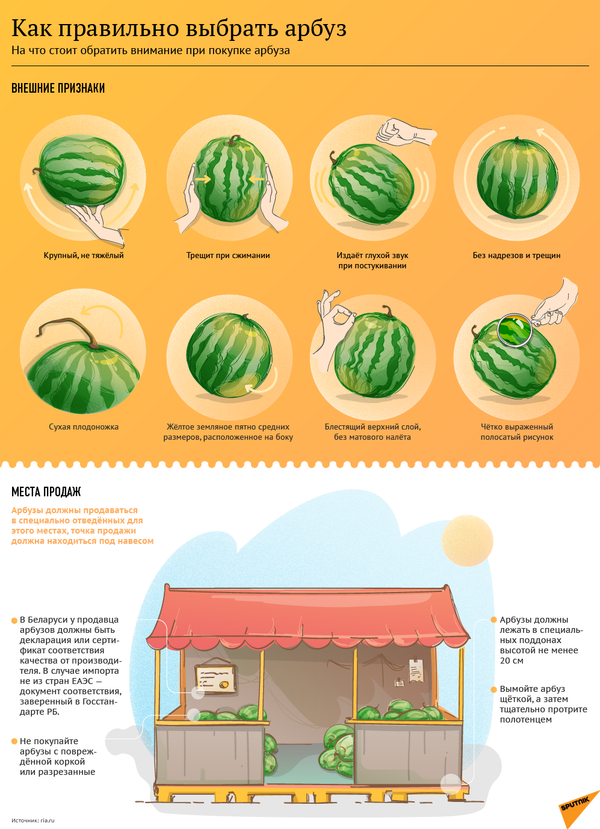 Удовольствие не для всех: врач рассказал, кому нельзя есть арбузы - Sputnik Узбекистан