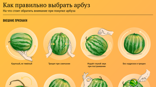 Как выбрать самый вкусный арбуз - Sputnik Узбекистан