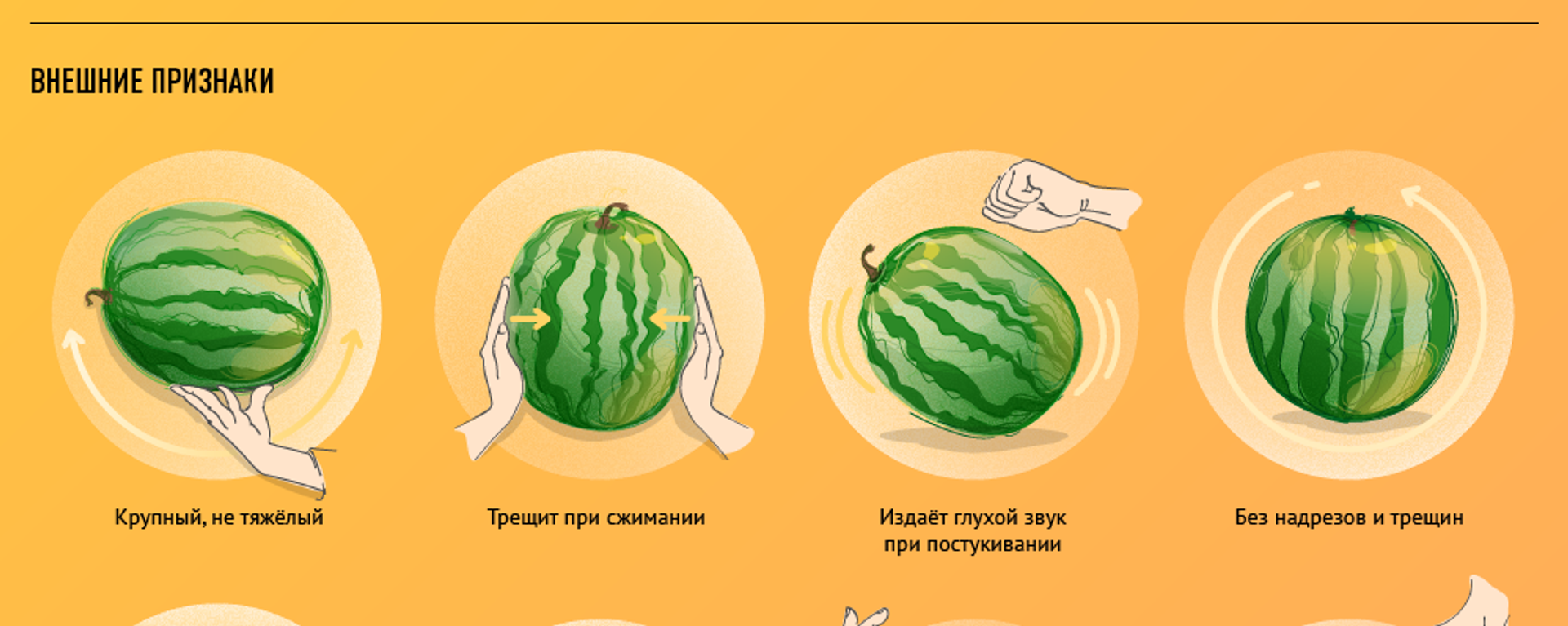 Как выбрать самый вкусный арбуз - Sputnik Узбекистан, 1920, 22.07.2019