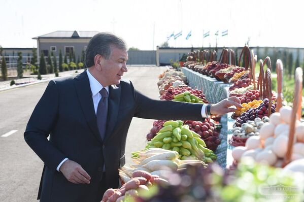 Президент Шавкат Мирзиёев ознакомился с деятельностью частного предприятия «Янгиобод инвест сервис» в Музрабатском районе - Sputnik Узбекистан