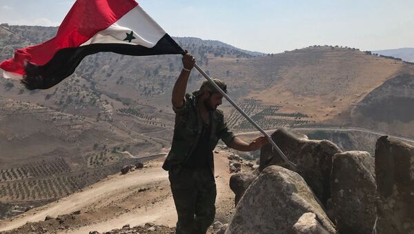 Сирийский военный устанавливает государственный флаг на юго-западе провинции Дераа на границе с Иорданией. - Sputnik Узбекистан