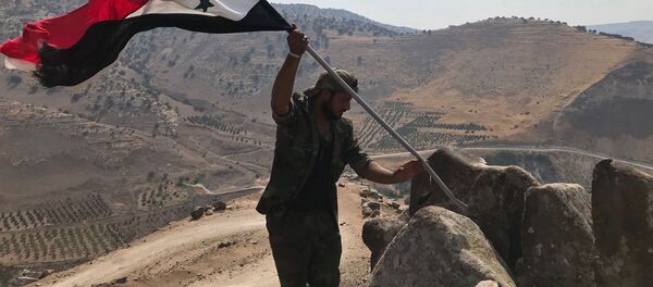 Сирийский военный устанавливает государственный флаг на юго-западе провинции Дераа на границе с Иорданией. Сирийский военный устанавливает государственный флаг на юго-западе провинции Дераа на границе с Иорданией. - Sputnik Узбекистан