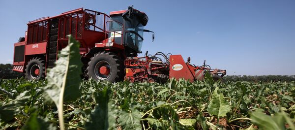 Daladagi ish - Sputnik O‘zbekiston