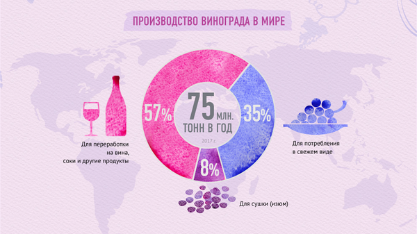 Польза и вред винограда - Sputnik Узбекистан