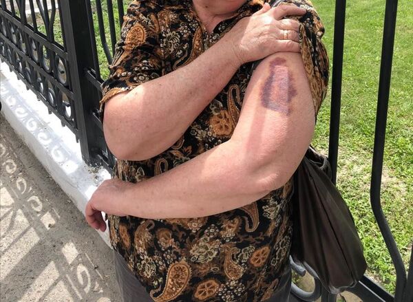 Сотрудник отлова животных в Ташкенте наказан за гибель кошек - Sputnik Узбекистан