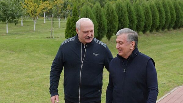 Президент Беларуси Александр Лукашенко принял Шавката Мирзиёева в загородной резиденции Заславль - Sputnik Узбекистан