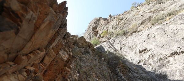 В Узбекистане планируют открыть уникальный памятник природы - Sputnik Узбекистан