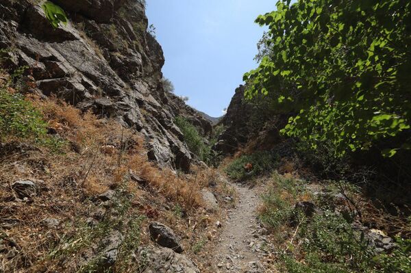 В Узбекистане планируют открыть уникальный памятник природы В Узбекистане планируют открыть уникальный памятник природы - Sputnik Узбекистан