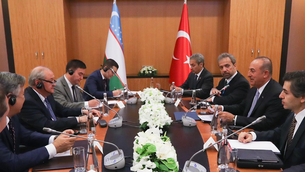 Главы МИД Узбекистана и Турции встретились в Анкаре - Sputnik Узбекистан
