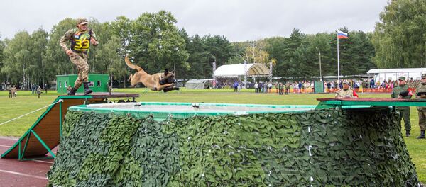 Военнослужащий из республики Узбекистан во время преодоления препятствий в рамках конкурса Верный друг АрМИ—2019 - Sputnik Узбекистан