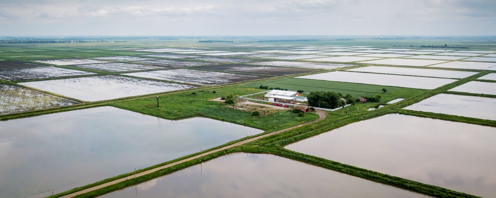 Выращивание риса в Краснодарском крае - Sputnik Ўзбекистон, 1920, 07.08.2019