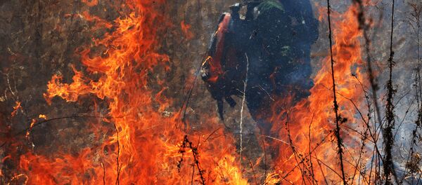Учения по тушению лесных пожаров в Приморском крае Учения по тушению лесных пожаров в Приморском крае - Sputnik Ўзбекистон