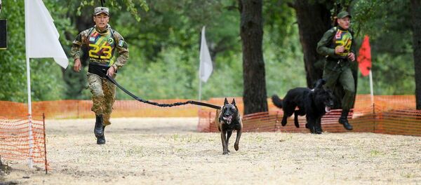 Военнослужащий ВС Узбекистана во время состязания кинологов на конкурсе «Верный друг» АрМИ-2019 Военнослужащий ВС Узбекистана во время состязания кинологов на конкурсе «Верный друг» АрМИ-2019 - Sputnik Ўзбекистон