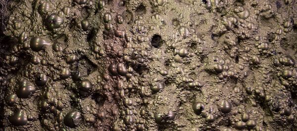 Пульпа на горно-обогатительной фабрике - Sputnik Узбекистан