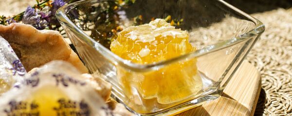 Med - Sputnik O‘zbekiston