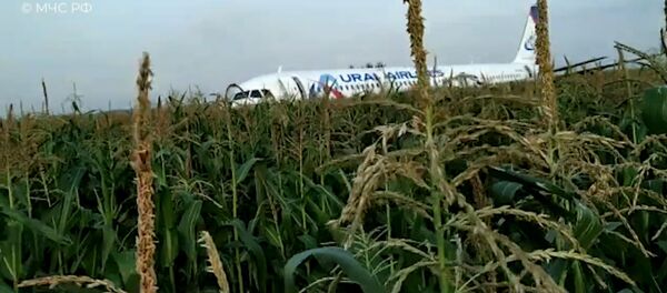 Первые минуты после экстренной посадки самолета в Подмосковье - видео Первые минуты после экстренной посадки самолета в Подмосковье - видео - Sputnik Узбекистан