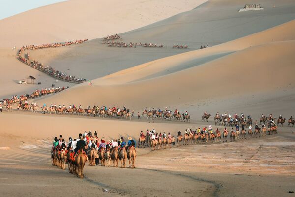 Туристы на верблюдах в пустыне в Дуньхуане, Китай - Sputnik Узбекистан