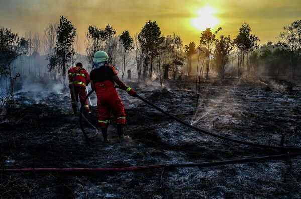 Тушение лесных пожаров на Суматре, Индонезия - Sputnik Узбекистан