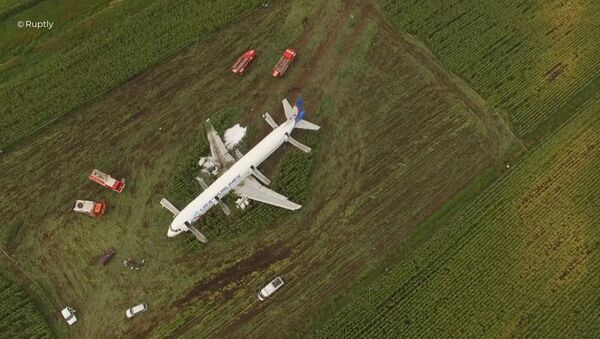 Пассажирский самолёт совершил аварийную посадку в Подмосковье - Sputnik Узбекистан