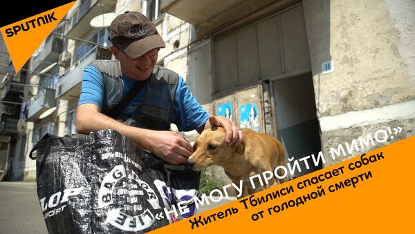 Не могу пройти мимо - житель столицы Грузии спасает собак от голодной смерти - Sputnik Узбекистан