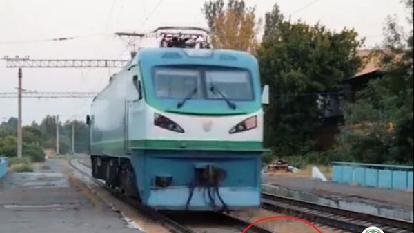Под поезд ради хайпа: как накажут ташкентского блогера - Sputnik Узбекистан