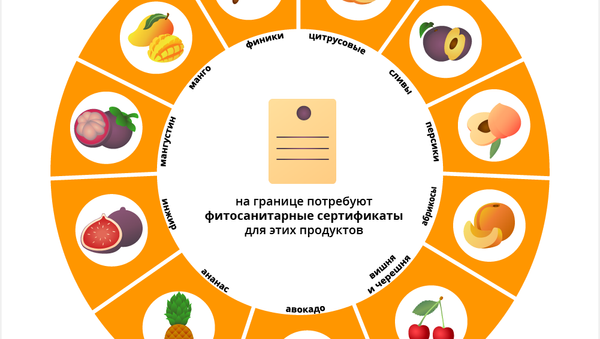 В России ужесточили правила провоза овощей и фруктов через границу - Sputnik Узбекистан