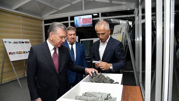 На базе Тебинбулака будет реализован крупный проект промышленности - Sputnik Узбекистан