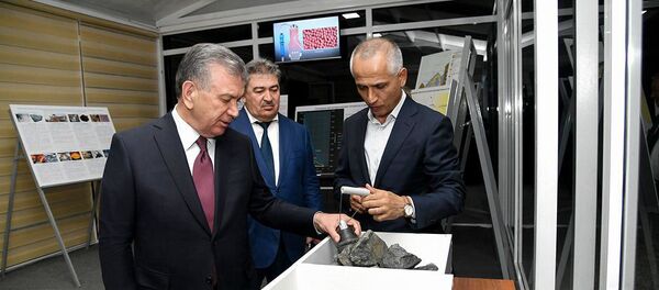 На базе Тебинбулака будет реализован крупный проект промышленности На базе Тебинбулака будет реализован крупный проект промышленности - Sputnik Узбекистан