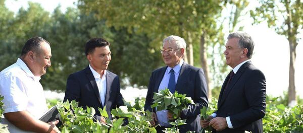 Шавкат Мирзиёев ознакомился с состоянием развития хлопчатника  - Sputnik Узбекистан