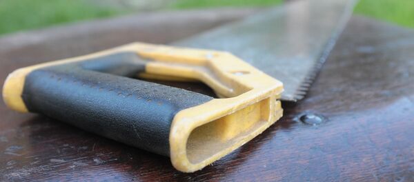 Пила Пила - Sputnik Ўзбекистон