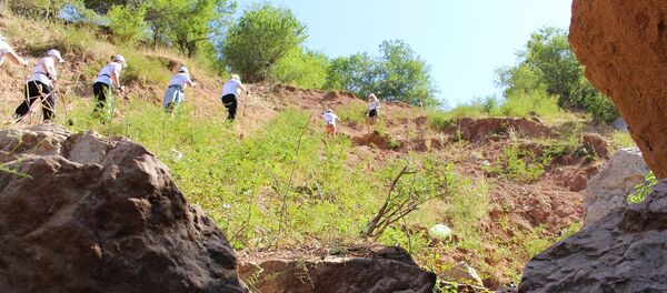 Соревнования по скайраннингу в Ташкентской области - Sputnik Узбекистан