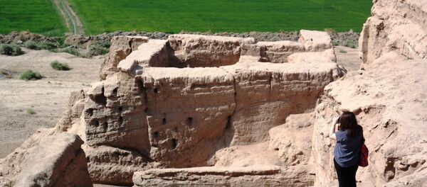 В Сурхандарьинской области найден древний город В Сурхандарьинской области найден древний город - Sputnik Узбекистан