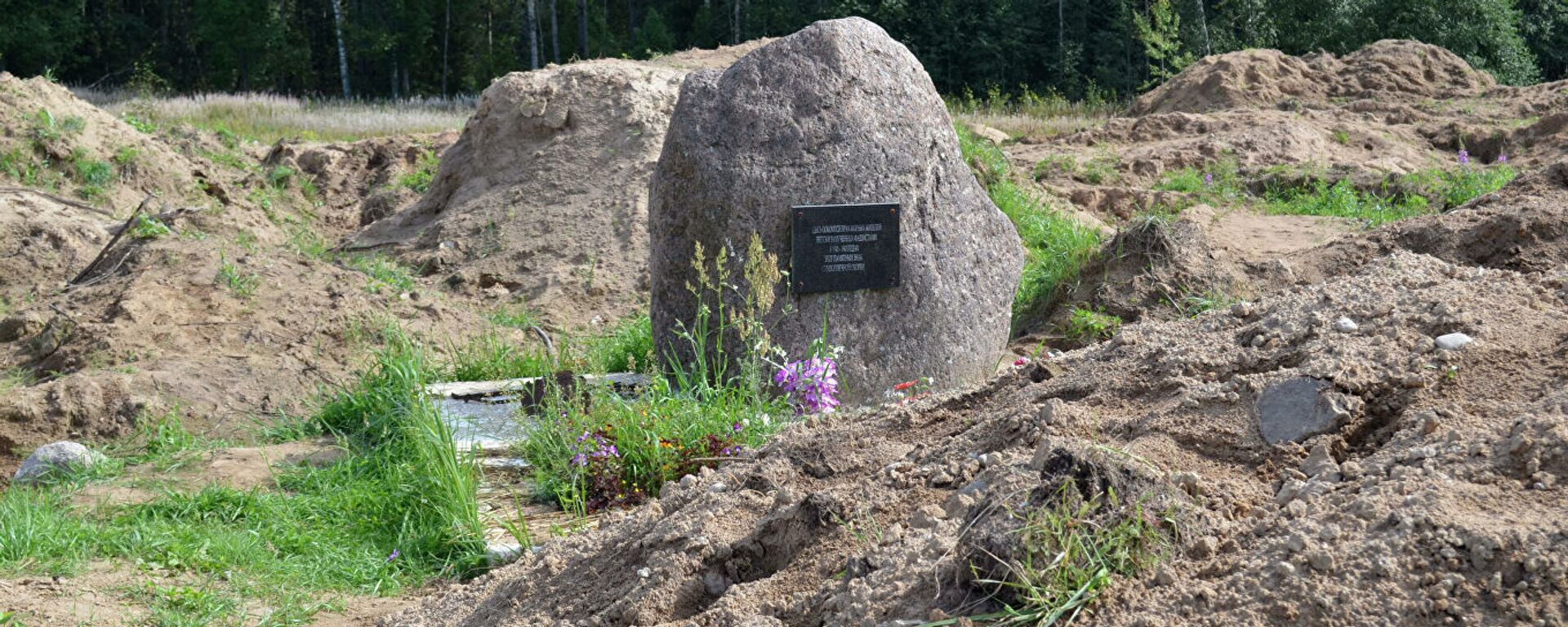 Место раскопок в районе деревни Жестяная Горка, где следователи обнаружили около 500 тел жертв латвийских карателей - Sputnik Узбекистан, 1920, 27.10.2020