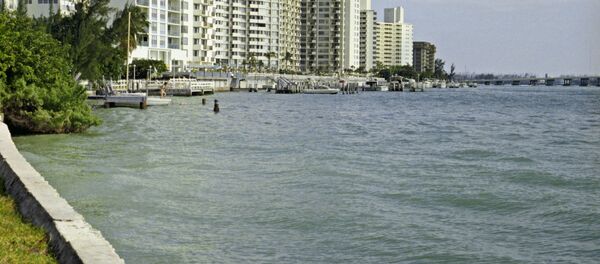 Майами, Флорида - Sputnik Узбекистан