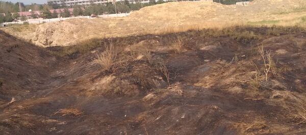 В Самарканде и Карши произошли пожары после праздничных салютов - Sputnik Узбекистан