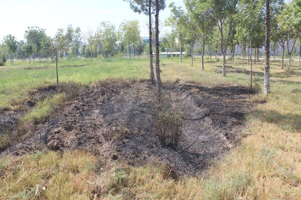 В Самарканде и Карши произошли пожары после праздничных салютов В Самарканде и Карши произошли пожары после праздничных салютов - Sputnik Узбекистан