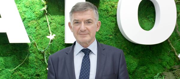 Rektor NIYaU MIFI Mixail Strixanov Rektor NIYaU MIFI Mixail Strixanov - Sputnik O‘zbekiston