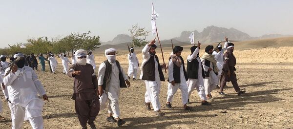Члены террористического движения Талибан в Афганистане Члены террористического движения Талибан в Афганистане - Sputnik Ўзбекистон