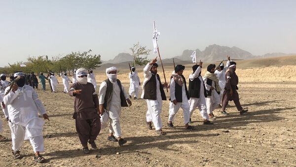 Члены террористического движения Талибан в Афганистане - Sputnik Ўзбекистон