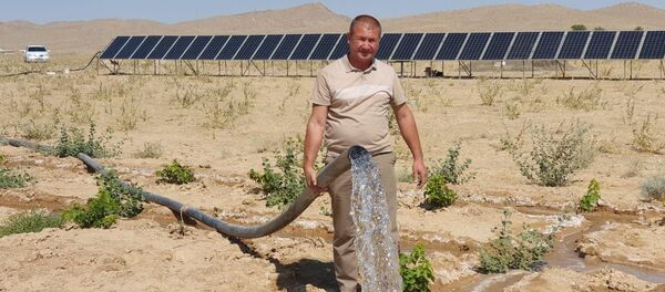 Фермеры Узбекистана начали использовать солнечную энергию Фермеры Узбекистана начали использовать солнечную энергию - Sputnik Ўзбекистон