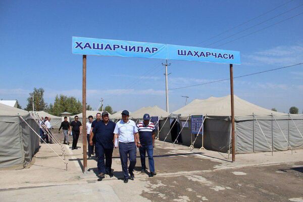 В Сырдарье открылся палаточный городок для сборщиков хлопка - Sputnik Узбекистан